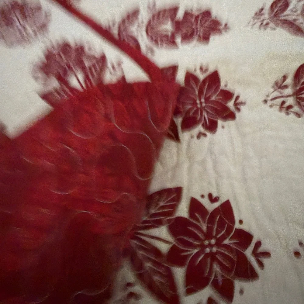 St Nicholas Square Red Floral Quilt Set Full Queen 3pc Reversible Cotton Holiday